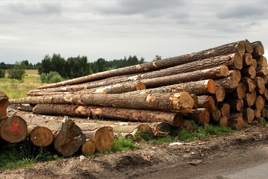 logs, tree, trunk, wood, nature, log, trees, forest, wooden, the bark