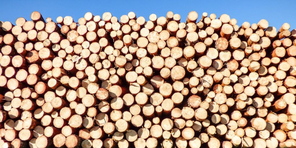 A vibrant pile of timber logs under a clear blue sky, ideal for industrial themes.